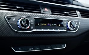 _DSC4299